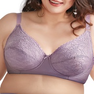 AXXX SALLIE WIRED BRA (SIZE : 34B SEHINGGA 44E)