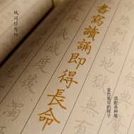 Abortion Abortion Confession Resentment Copybook Hard Pen Regular Script Red Copy Line-bound Book Pe