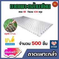 ถาดเพาะกล้านาโยน 434 หลุม แพ็ค 500 ชิ้น ถาดปลูกกล้านาโยน ถาดเพาะกล้า ถาดนาโยน เพาะกล้านาโยน ทำนาโยน