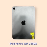 IPad Mini 6 Wifi 256GB 灰色