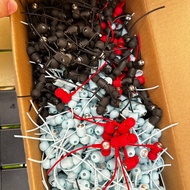 10mm Wire Cutting Semi-In-Ear 14mm Earphone Head In-Ear Earphone Accessories Unit White Black Blue R