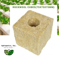 Hydroponics Rockwool Cubes for Soilless Planting (75mmX75mmX75mm) by Hydroponics, Etc.