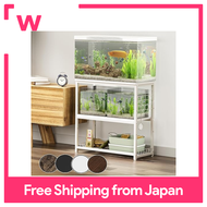DEWEL Aquarium stand 65cm W x 30cm D x 65cm H, total load capacity approx. 155kg Aquarium stand, 3 t