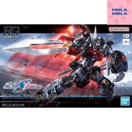 Bandai HG 1/144 Black Knight Squad Shi-Ve.A