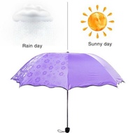 3d Magic Umbrella Rain Umbrella / 3 Dimensional Magic Umbrella