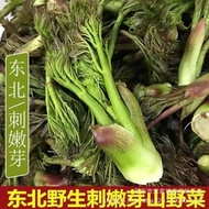 Northeast Thorn Dragon Sprout Seed Thorn Tender Sprout Seed Thorn Old Bag Seed Thorn Bag Sprout Seed