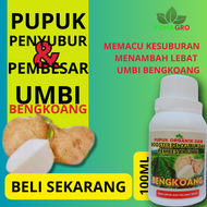 Pupuk Pembesar Umbi Bengkoang /Pupuk Bengkoang /Pupuk Penyubur Bengkoang /Obat Pembesar Umbi Organik