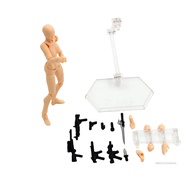 Body nữ hình nhân vật đồ chơi Khớp có thể vẽ hình ảnh hình nộm cho trẻ em đồ chơi nhận thức khoa học