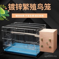 Large Plating Parrot E5H5