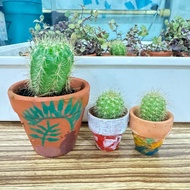 Cactus Succulent Plant