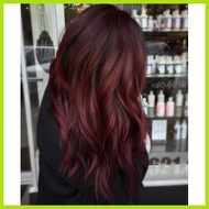 ☃  ◐ Rich Burgundy Red Hair Color with Oxidant ( 6/45 Bob Keratin Permanent Hair Color )
