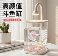 迷你魚缸