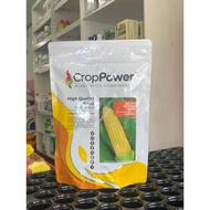 CROP POWER SC832 Jagung Manis F1 Hybrid – Big Sweet 500g