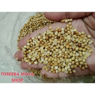 CORIANDER SEEDS CORIANDER 100 GRAMS