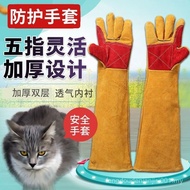 [Pet Training] Cats Dogs Anti-Gloves Training Dogs Anti-Cats Dogs Pet Gloves Anti-Scratch Thick Leat