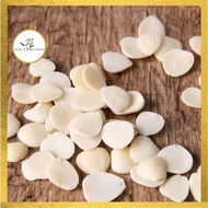 South Almond North Apricot Apricot Seed Sweet Almond North South Almond