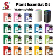 [SG Stocks]10ML Water Soluble Essential Oil Fragrance Oil Arome Bathroom Living Room Massage Difuser
