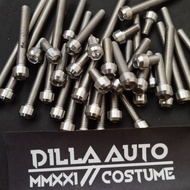 M5 Bolt/8L STAINLESS COSTUME TITANIUM UNIVERSAL MODEL