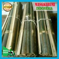 Bamboo Blade Plant Fence Bamboo Plant per 10pcs