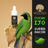 obat serak buat burung cucak ijo vitamin penggacor doping tetes cucak ijo Qiyara Sari 10ml