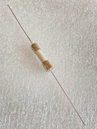 (แพ็ค10ชิ้น) Slow blow Fuse T5A 250VAC T5AH 250VAC 20mm แบบธรรมดา แบบหางหนูมีขาลวด ฟิวส์กระเบื้อง 5A