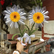 March 8 Gift_Hottrend Sunflower with money tube Super Hot, Meaningful Gift for Loved Ones