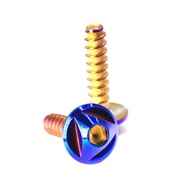 Honda Head Release Screw Nut (CLICK) Titanium Color (4X12/4X16)