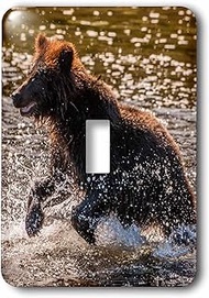 3dRose LSP_190591_1"USA, Alaska, Tongass Nf, Young Grizzly Cub Rushes to Catch Salmon, Toggle Switch