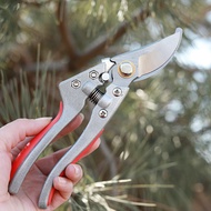 Kéo cắt cành cây -Aeneas Shop