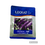 Benih Terung Mini Little Nyonya 313 F1 Hybrid Eggplant Leckat - (10g) 💯