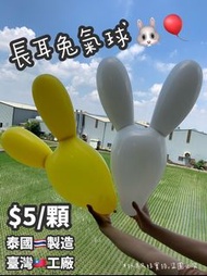 【玩具兄妹】臺灣現貨! 長耳兔氣球 泰國製造(臺灣工廠) 乳膠氣球 生日氣球 派對佈置氣球 宴會佈置 慶生佈置 造型氣球