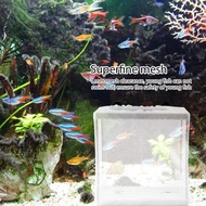 Aquarium Isolation Box Fish Tank Isolation Net Hatching Net Dense Fish Feeding Net Box Tropical B3l3