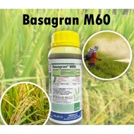 BASF BASAGRAN M60 Racun Rumput Air