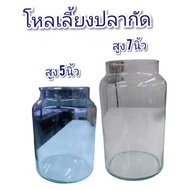 Betta Fish Jar Height 5 Inches/7 Inches