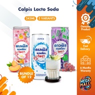 [Bundle of 12] Calpis Lacto Soda 245ml –  Grape, Peach Sakura, Yogurt Flavors, Refreshing Fruity Sof