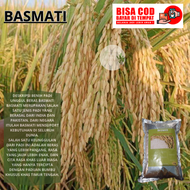 Benih Padi Basmati 1 Kg Padi India