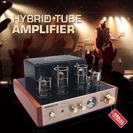 HYBRID TUBE HIFI STEREO INTEGRATED AMPLIFIER HI FI TABUNG NOBSOUND - ERCHIARA SHOP