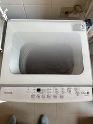 Toshiba 東芝 6.3kg 洗衣機 AW-K731APH