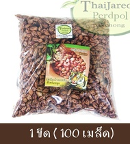 เมล็ดพันธุ์ถั่วลิสงลายเสือ ถั่วราชินี พันธุ์หายาก สำหรับเพาะปลูก บรรจุ 1 ขีด (ประมาณ 100 เมล็ด) รสชา