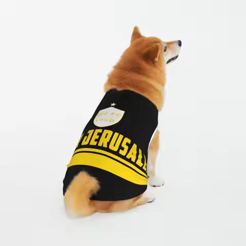Israel Beitar Jerusalem Fc Pet Dog Wear Hoodie Puppy Costume Doggie Winter Clothes Sweaters Pet Hood