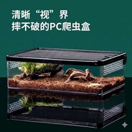 Reptile Tank Snake Spider Lizard Scorpion Horned Frog Gecko