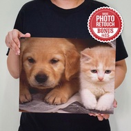 11R Photo Wood Print 11inch x 14inch