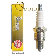 Spark plug Cr8Egp ngk