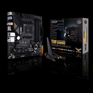 Ryzen 3600 + TUF Gaming B550M-PLUS (Wifi)