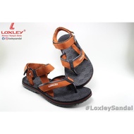 PTR Sandal Gunung Pria Loxley Chimborazo size 38-42