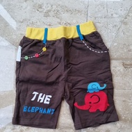 《NEW》Elephant kid shorts
