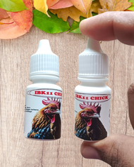 obat mata ayam kena jalu . obat mata ayam katarak . obat mata ayam merah . obat mata ayam sonor . ob