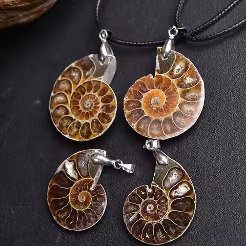 Irregular Natural Stone Pendant Snail Ammonite Ocean Conch Reliquiae Shell Charms Necklace for Women