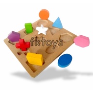 9 Geometric Shape Wooden Puzzle - educational toys