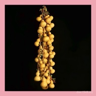 Gourd Pendant Home Gourd Gourd Rope Wholesale Natural Braided Handmade Twisted Gourd Wenwan Gourd Go